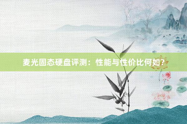 麦光固态硬盘评测：性能与性价比何如？